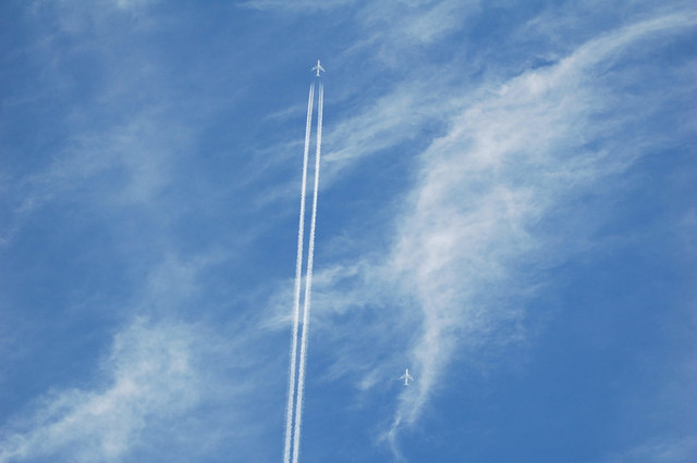 ZUB_DSC_0344_TP_V4.jpg